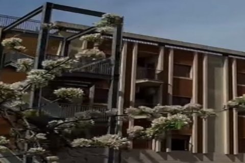 Casa di Riposo Brancaccio