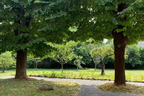 Centro Diurno Integrato Monza