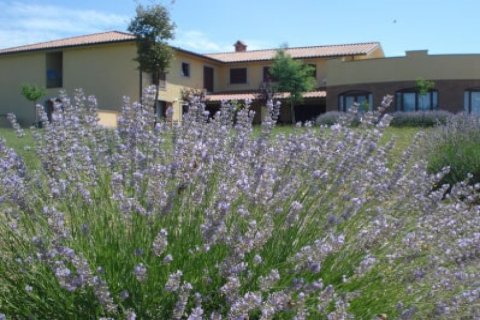 Villa Sabrina - Residenza Protetta