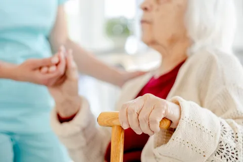 AODD - Assistenza Ospedaliera Domiciliare Domestica